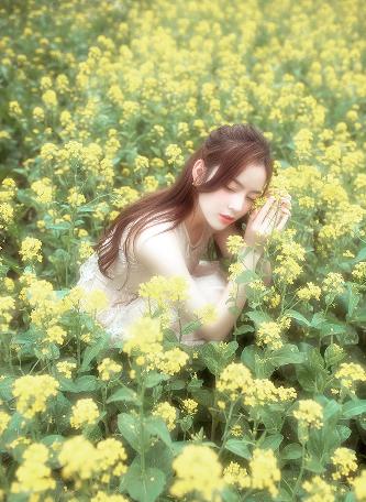 欧美成人无码A片免费一区澳门？真相究竟如何！